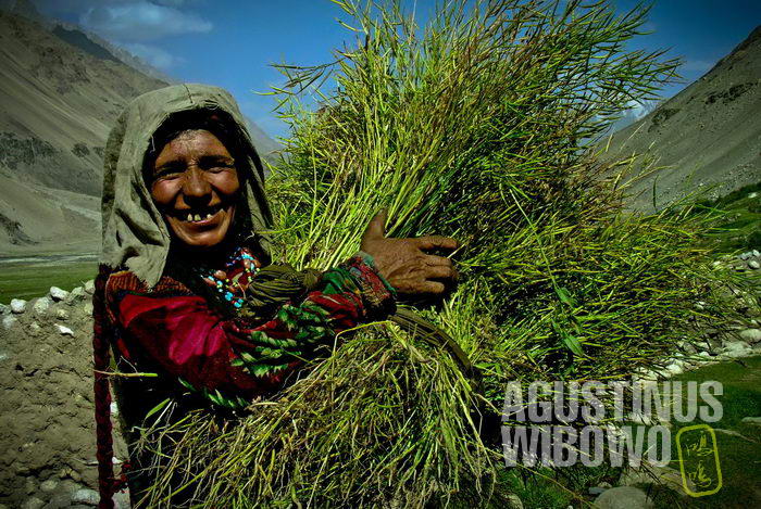 An old Wakhani women smilling happily about her good wheat harvest.