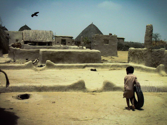 1pic1day-140122-thar-desert