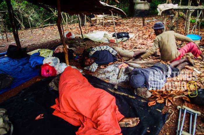 Hidup di hutan rimba Papua Nugini membutuhkan fisik yang sangat tangguh (AGUSTINUS WIBOWO)
