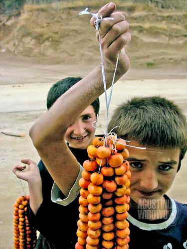Bocah-bocah menawarkan buah-buahan pegunungan kepada kendaraan yang melintas. (AGUSTINUS WIBOWO)