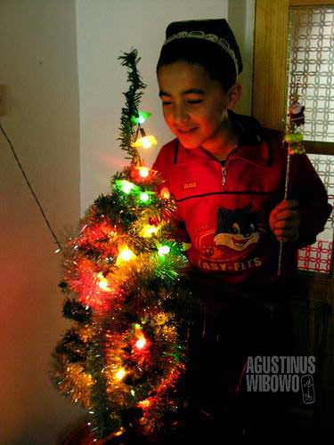Pohon natal di hari Idul Adha (AGUSTINUS WIBOWO)
