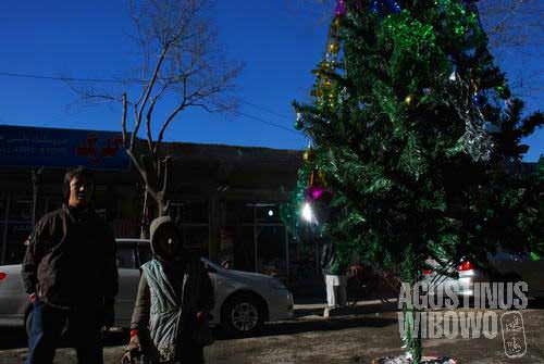 Christmas trees in Kabul streets, who expected?