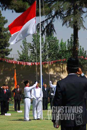 Red-and-White in Kabul