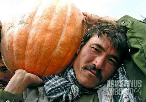 A Hazara farmer from Yakawlang is proud of his harvest products, including a giant melon.