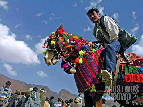 A Hazara farmer rides his beautifully decorated horse, in a harvest festival in Yakawlang. Farmers from all corners of the district come with their best product to show and to share the happiness with others.