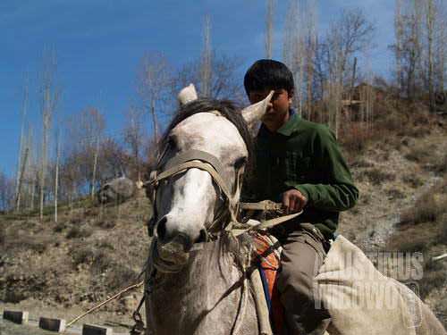 Horse is still important transport in mountainous area like Shakhimardan
