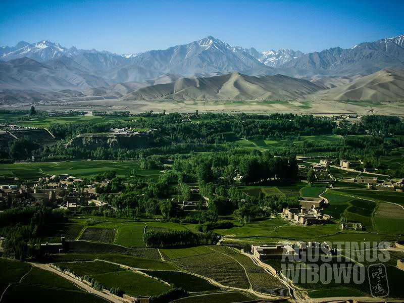 Hijaunya lembah Bamiyan (AGUSTINUS WIBOWO)