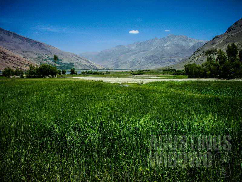 7.Hijaunya ladang di Wakhan (AGUSTINUS WIBOWO)