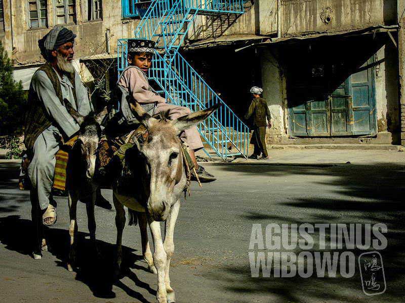 1.Keledai masih menjadi alat transportasi utama di ibukota provinsi ini (AGUSTINUS WIBOWO)