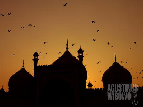 Masjid Juma New Delhi - senangnya bisa memotret dengan leluasa lagi. (AGUSTINUS WIBOWO)