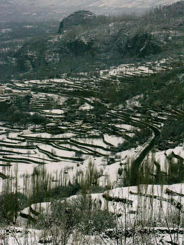 Persawahan di lereng bukit Karimabad dibungkus salju (AGUSTINUS WIBOWO)
