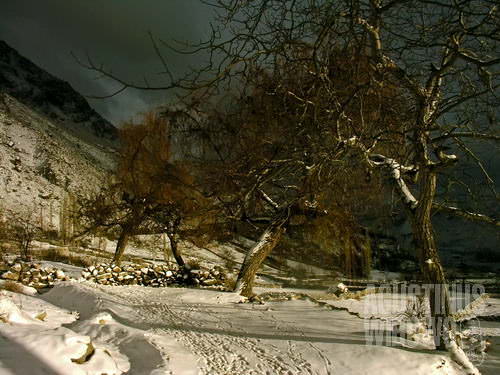 Puncak gunung Sarang Elang yang sunyi, dengan salju tebal membungkus segala penjuru (AGUSTINUS WIBOWO)