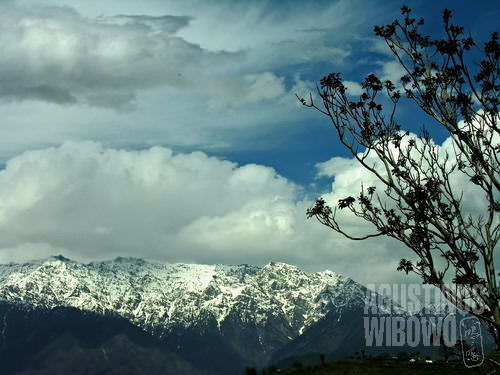 Kandar di puncak pegunungan Kashmir (AGUSTINUS WIBOWO)