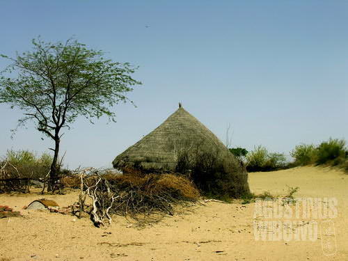Sebuah gubuk di tengah gurun (AGUSTINUS WIBOWO)