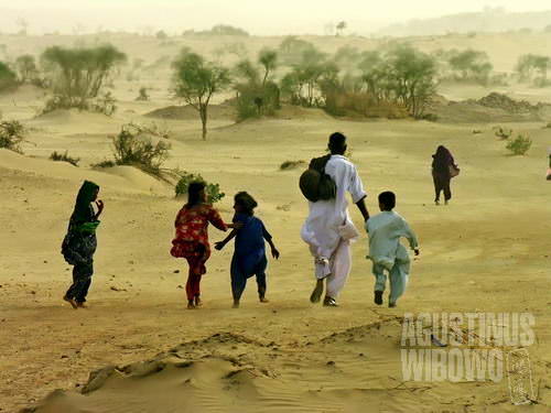 Pulang, kembali ke tengah kepulan debu di gurun Thar (AGUSTINUS WIBOWO)