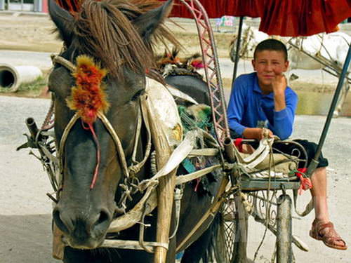 Kereta kuda di Kargilik. Sayang, bukan kendaraan menuju Tibet. (AGUSTINUS WIBOWO)