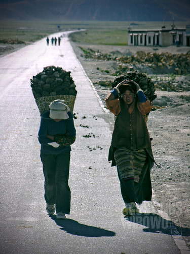 Para pekerja perempuan di Tingri. (AGUSTINUS WIBOWO)