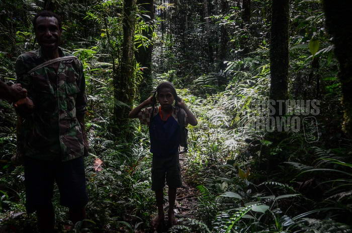 Pengungsi West Papua di tengah hutan yang menjadi garis batas Indonesia dan Papua Nugini